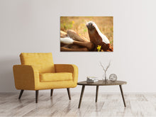 Load image into Gallery viewer, Canvas print The sleeping horse