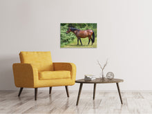 Load image into Gallery viewer, Canvas print Strong horse