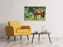 Load image into Gallery viewer, Canvas print Strong horse