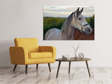 Load image into Gallery viewer, Canvas print The arabian thoroughbred