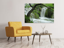 Load image into Gallery viewer, Canvas print In the national park