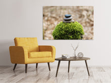 Load image into Gallery viewer, Canvas print Stone pile on plant