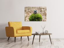 Load image into Gallery viewer, Canvas print Stone pile on plant