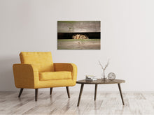 Load image into Gallery viewer, Canvas print Cat in hiding