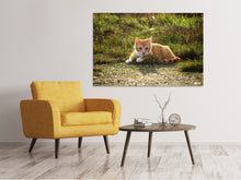 Load image into Gallery viewer, Canvas print Kitten in nature