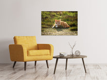 Load image into Gallery viewer, Canvas print Kitten in nature
