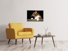 Load image into Gallery viewer, Canvas print XL cat