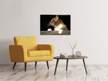 Load image into Gallery viewer, Canvas print XL cat