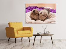 Load image into Gallery viewer, Canvas print Kitten trio to fall in love