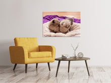 Load image into Gallery viewer, Canvas print Kitten trio to fall in love