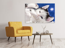 Load image into Gallery viewer, Canvas print Sweet kitten
