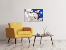 Load image into Gallery viewer, Canvas print Sweet kitten