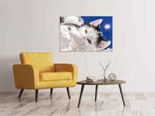 Load image into Gallery viewer, Canvas print Sweet kitten
