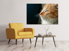 Load image into Gallery viewer, Canvas print Kitten nose
