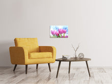 Load image into Gallery viewer, Canvas print Tulips in nature