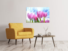 Load image into Gallery viewer, Canvas print Tulips in nature