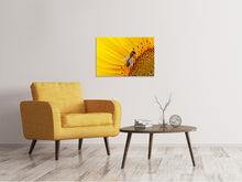 Load image into Gallery viewer, Canvas print Bee on the sunflower