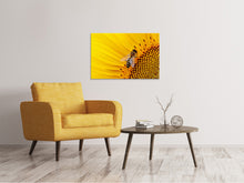 Load image into Gallery viewer, Canvas print Bee on the sunflower