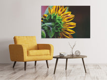 Load image into Gallery viewer, Canvas print Sunflower Close up