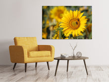 Load image into Gallery viewer, Canvas print Bees at work
