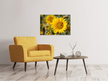 Load image into Gallery viewer, Canvas print Bees at work