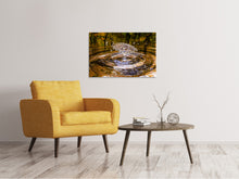 Load image into Gallery viewer, Canvas print blubb