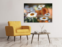 Load image into Gallery viewer, Canvas print Daisies XL