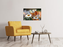 Load image into Gallery viewer, Canvas print Daisies XL