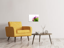 Load image into Gallery viewer, Canvas print Tulips in XL