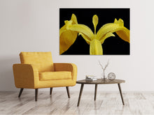 Load image into Gallery viewer, Canvas print The swamp iris