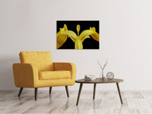 Load image into Gallery viewer, Canvas print The swamp iris