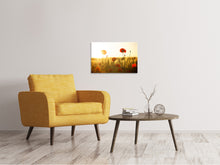 Load image into Gallery viewer, Canvas print Poppy in the sunset