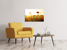 Load image into Gallery viewer, Canvas print Poppy in the sunset