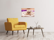 Load image into Gallery viewer, Canvas print Kitten to fall in love