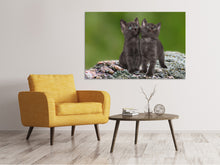 Load image into Gallery viewer, Canvas print 2 black cats babies