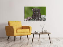 Load image into Gallery viewer, Canvas print 2 black cats babies