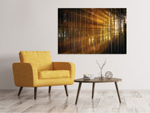 Load image into Gallery viewer, Canvas print Trees in sunbeams