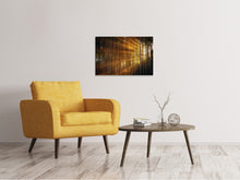 Load image into Gallery viewer, Canvas print Trees in sunbeams