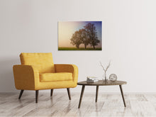 Load image into Gallery viewer, Canvas print The crooked tree