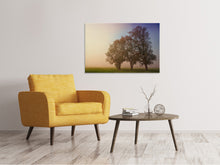Load image into Gallery viewer, Canvas print The crooked tree