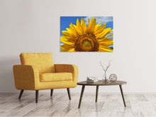 Load image into Gallery viewer, Canvas print Sunflower in XXL