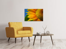 Load image into Gallery viewer, Canvas print The bud Close up