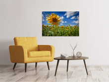 Load image into Gallery viewer, Canvas print A sunflower among many