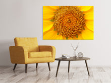 Load image into Gallery viewer, Canvas print Beautiful buds of the sunflower