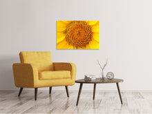 Load image into Gallery viewer, Canvas print Beautiful buds of the sunflower