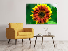 Load image into Gallery viewer, Canvas print Colorful sunflower