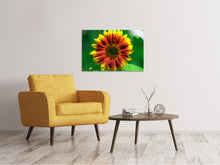 Load image into Gallery viewer, Canvas print Colorful sunflower