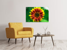 Load image into Gallery viewer, Canvas print Colorful sunflower