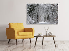 Load image into Gallery viewer, Canvas print Enchanted winter forest