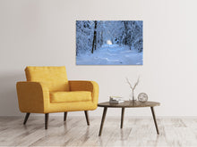 Load image into Gallery viewer, Canvas print Finally winter